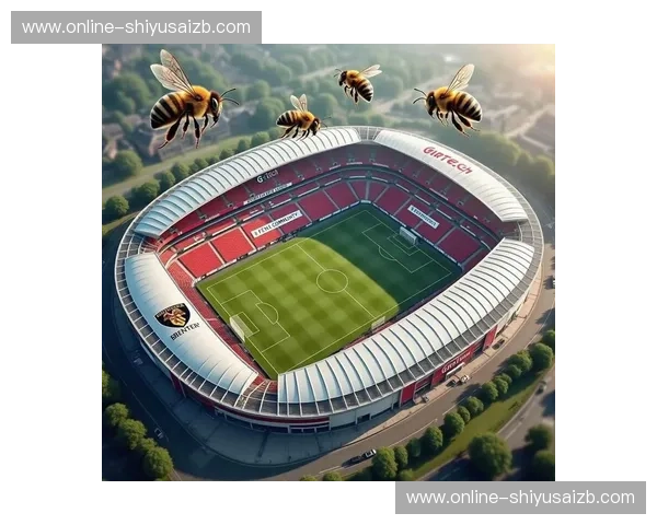 数据英超APP：用数据点亮你心中的球场梦