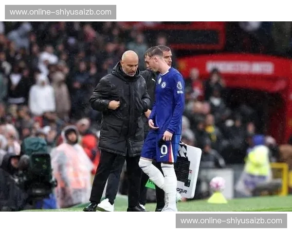 切尔西伤病：阴霾中的重塑与希望