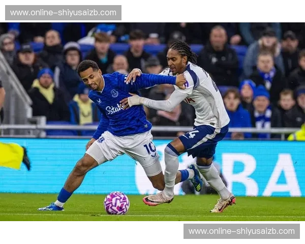 诺维奇vs埃弗顿:英超赛场上的宿命对决,绿茵传奇的碰撞与回响 诺维奇vs埃弗顿:英超赛场上的宿命对决,绿茵传奇的碰撞与回响